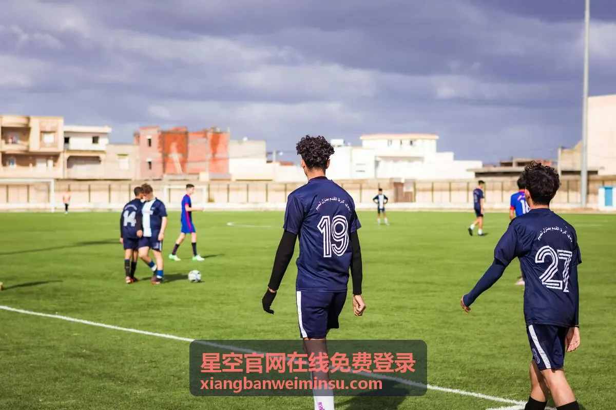星空官网在线免费登录观星旅行指南中的乡野民宿小院傍晚实景